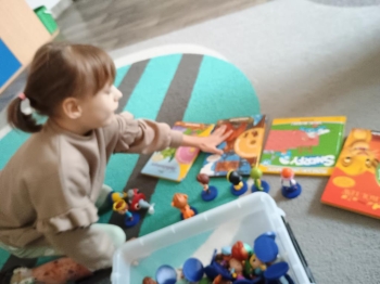 IMG_20260203_093811154 (Copy)