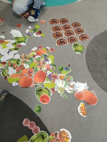 IMG_20260210_093802596_HDR (Copy)