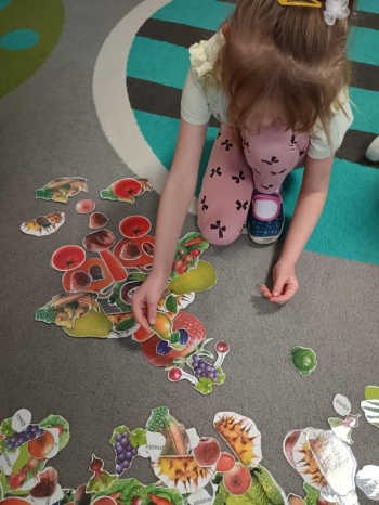 IMG_20260210_094235722_HDR (Copy)