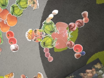 IMG_20260210_094251838 (Copy)