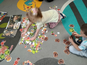 IMG_20260210_094317709_HDR (Copy)