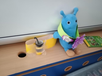 IMG_20260323_084748033 (Copy)