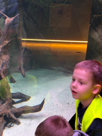 IMG-20260219-WA0018