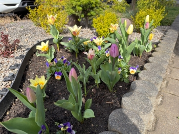 IMG-20260402-WA0022