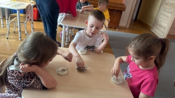 IMG-20260319-WA0020