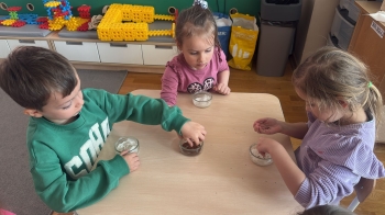 IMG-20260319-WA0021