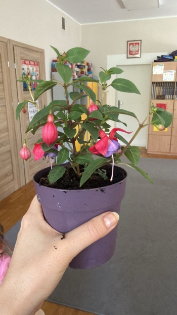 IMG-20260428-WA0051