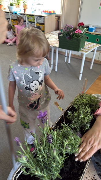 IMG-20260428-WA0089