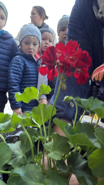 IMG-20260428-WA0096