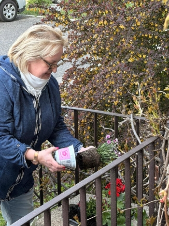 IMG-20260430-WA0017