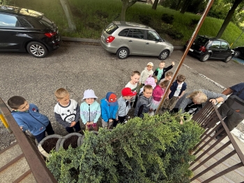IMG-20260612-WA0000