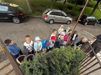 IMG-20260612-WA0001