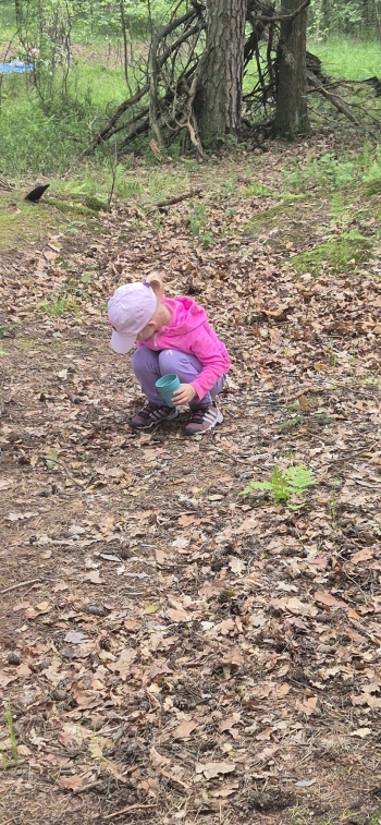 IMG-20260617-WA0137