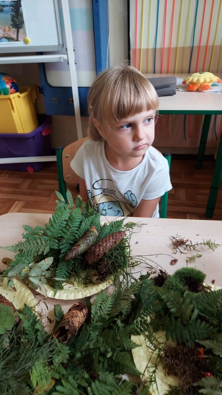 ELFY odkrywają dary lasu