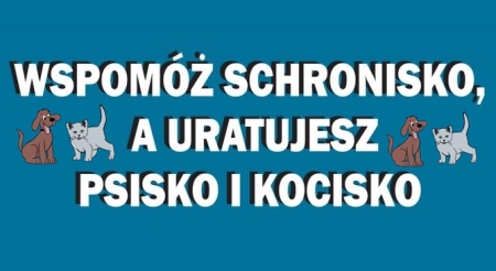 Zbiórka dla schroniska